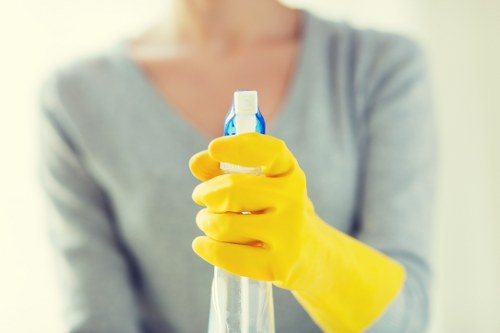 Safe and careful carpet cleaning process in Mile End
