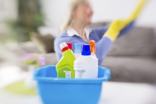 Professional upholstery cleaning process for fabric sofas