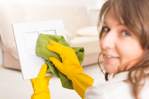 Local carpet cleaners assessing carpet fibre and stains